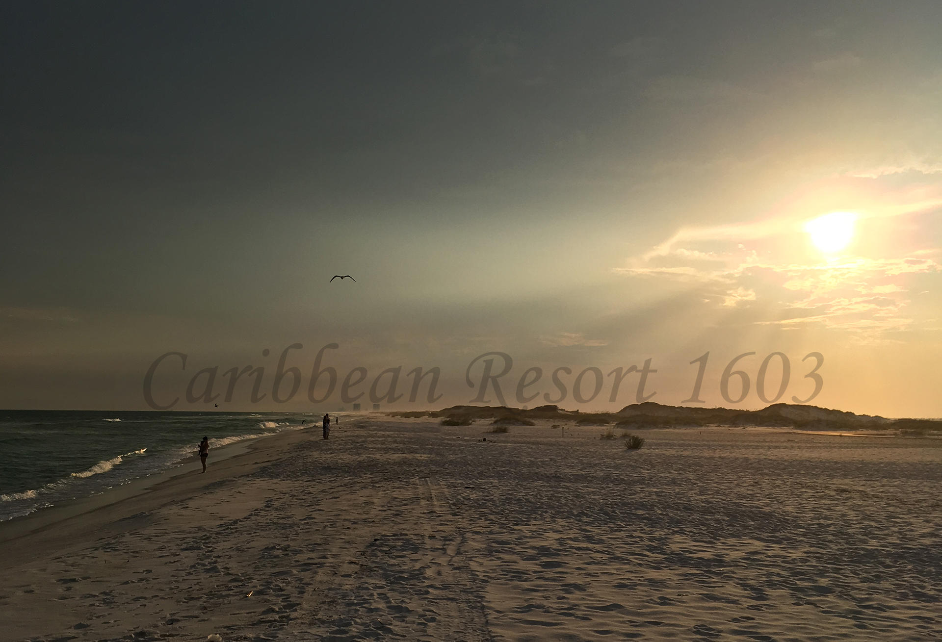 CARIBBEAN RESORT - Residential