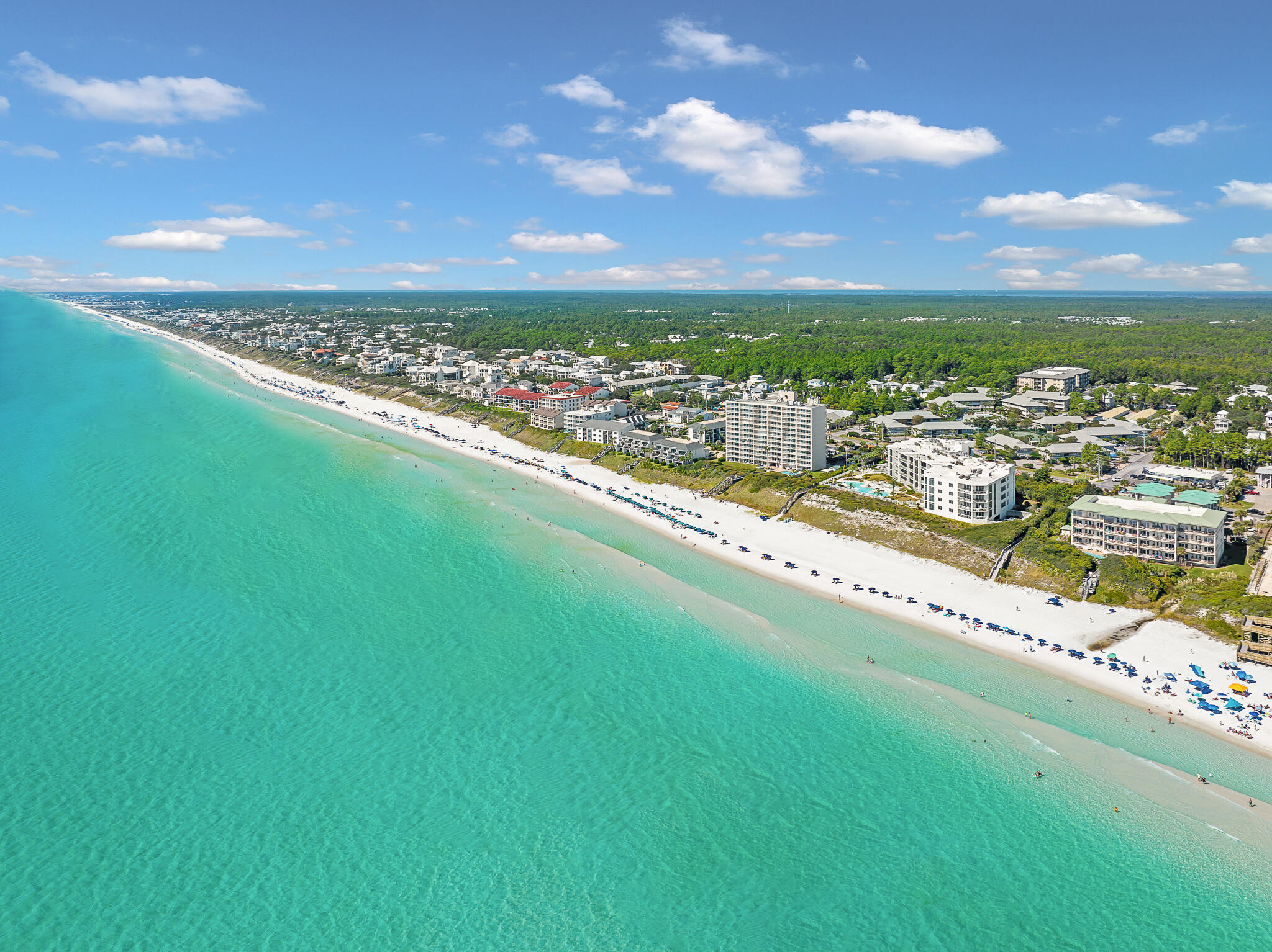 Thirty One, A Condominium Development - Residential
