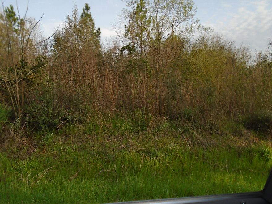 Price reduced to less than $3,000 per acre. 40.43 acres located North of DeFuniak Springs in the Darlington Community. Paved Road frontage. Creek runs through the West side of the property. The majority of the property that is high and dry with scattered trees. Great price. Small house is in cut out of the property and is not owned by the Sellers.