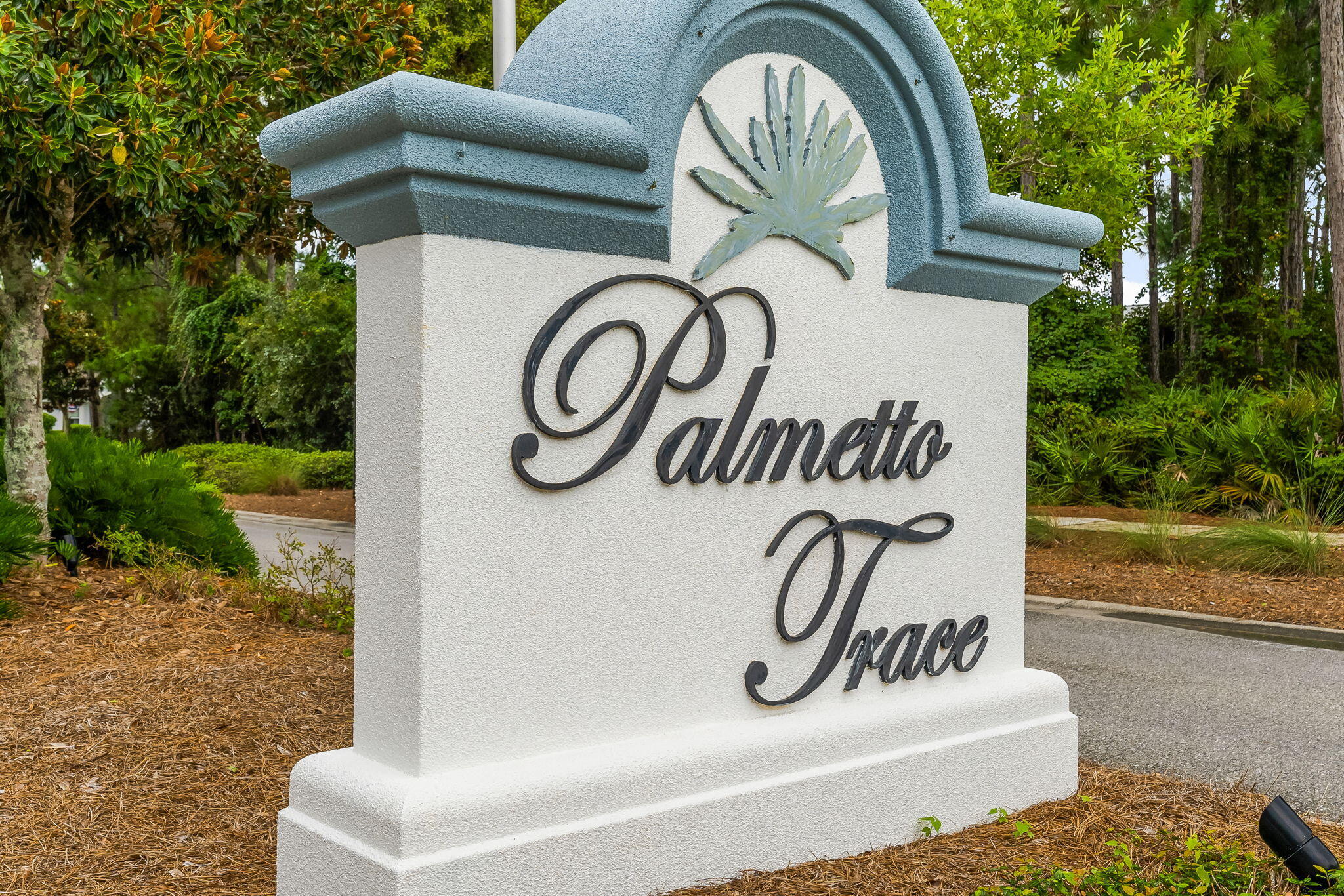 Palmetto Trace - Residential