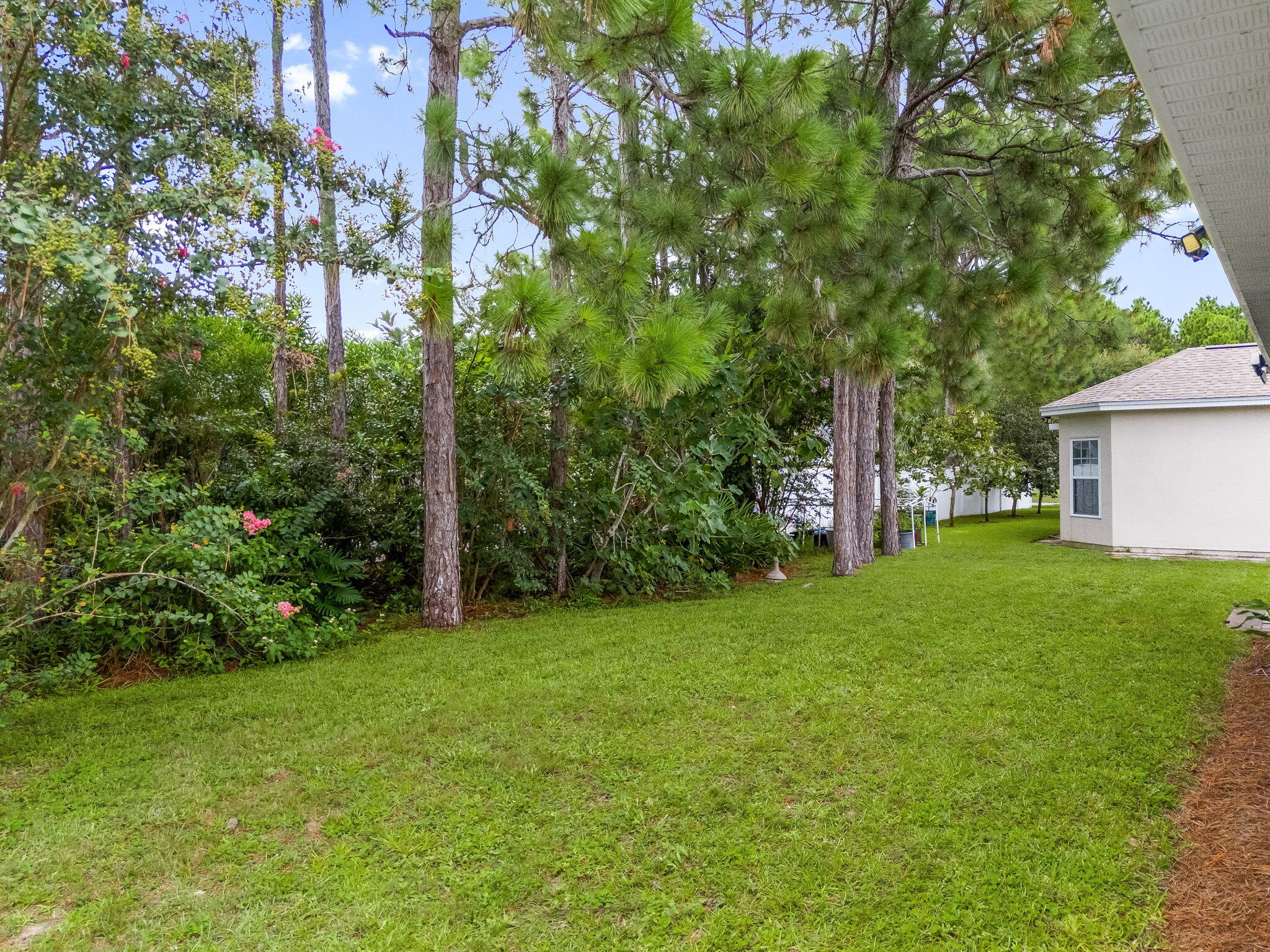 Palmetto Trace - Residential