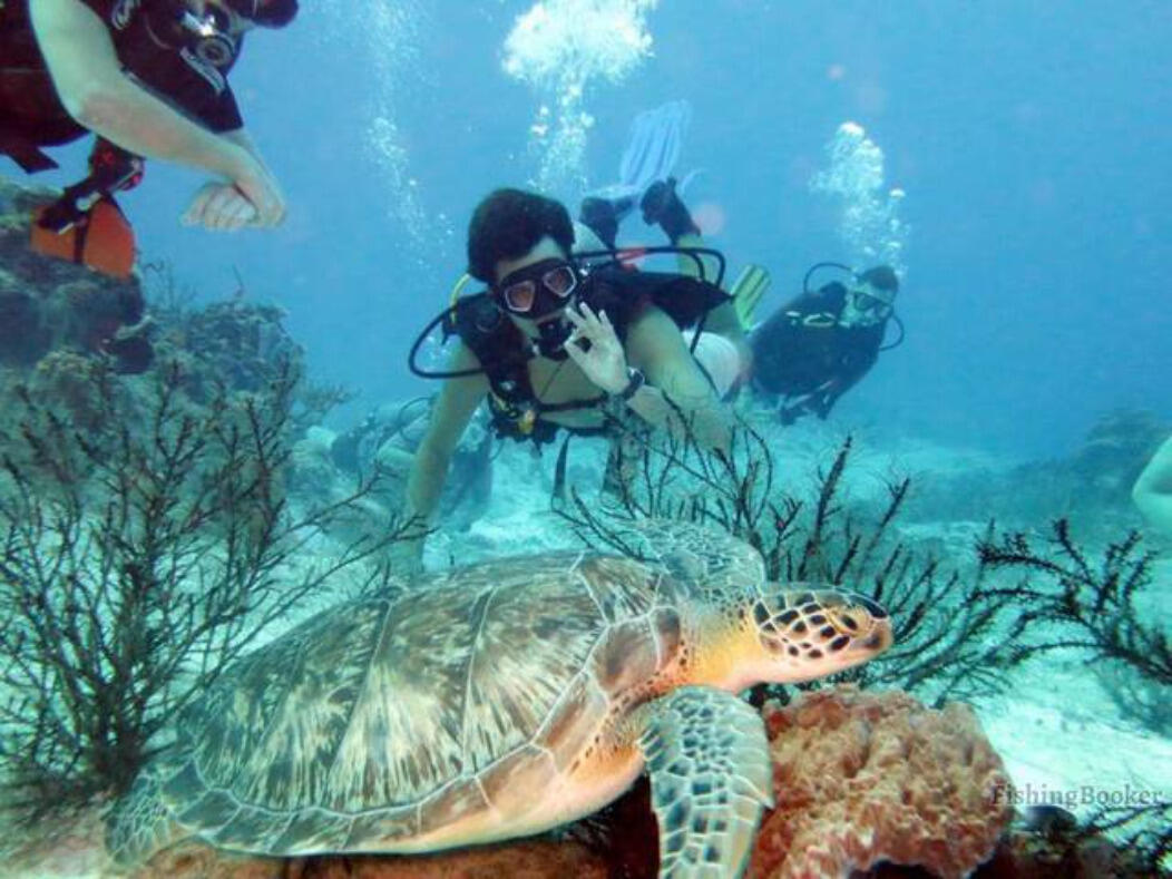 EMERALD WATERS VILLAGE - Residential