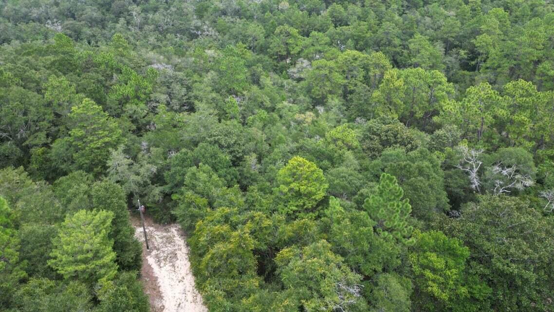 SPRING HILL ESTATES - Land