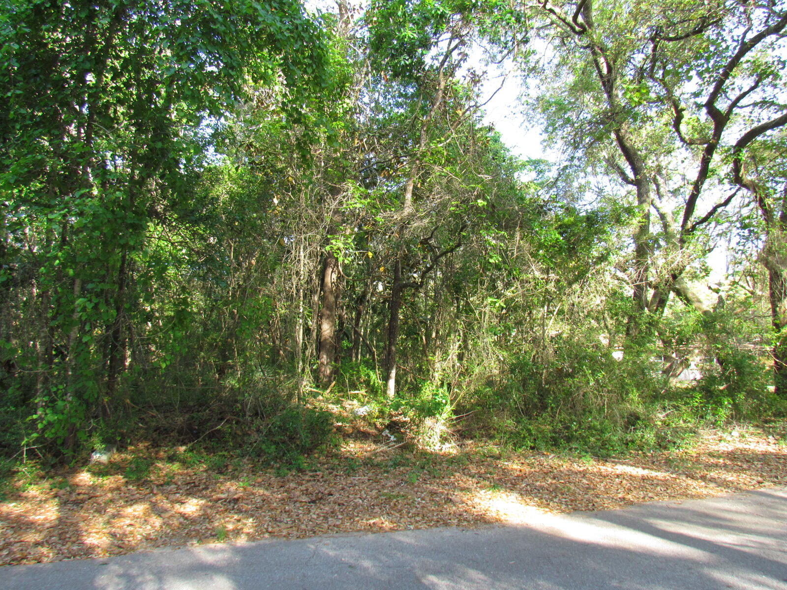 NO RECORDED SUBDIVISION - Land