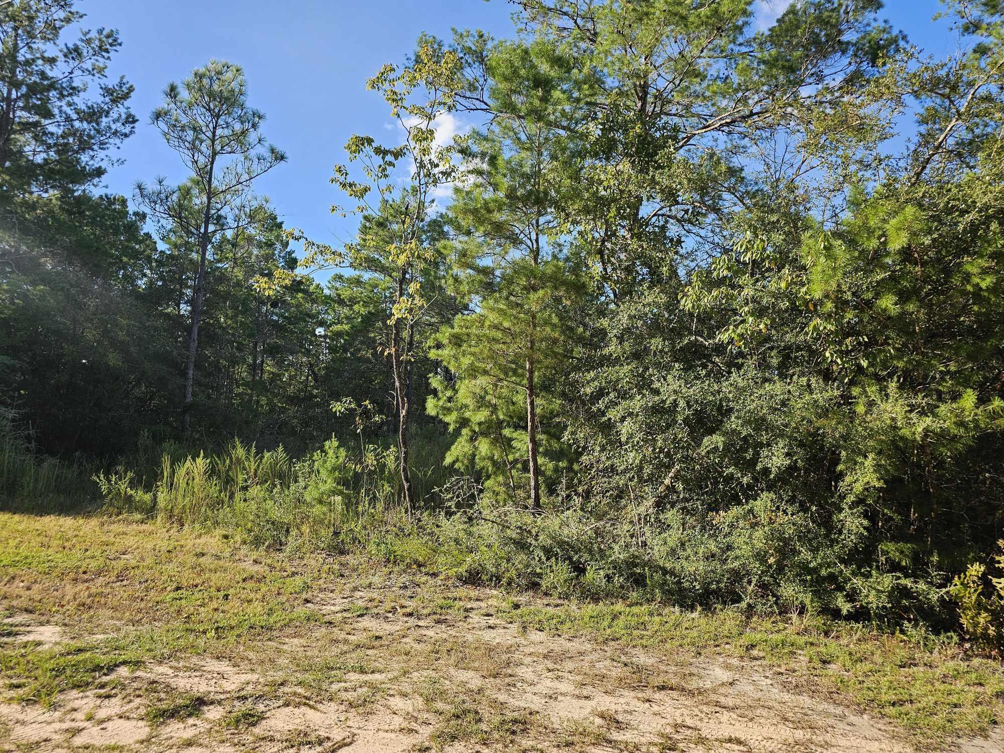 Looking for a lot to make your new home - this lot is the perfect location located just off a paved road this is a great buy. Some clearing and also includes a septic already in place. Power is available as well! Mobile homes allowed.Additional lot available