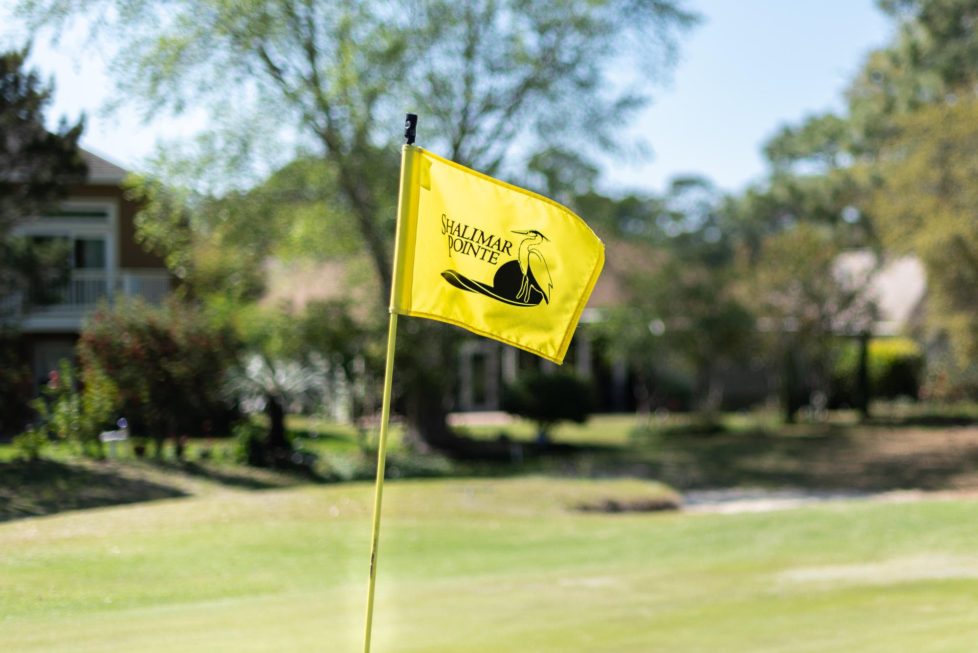 SHALIMAR POINTE PH 1 - Residential