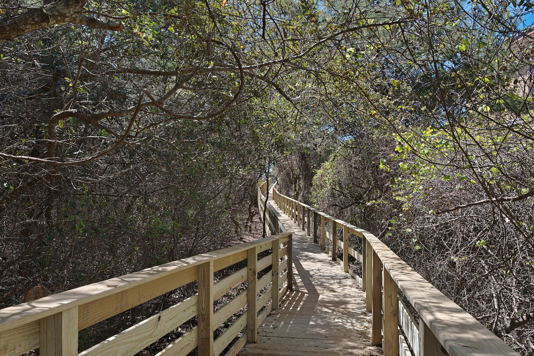 THE PRESERVE AT GRAYTON BEACH - Residential
