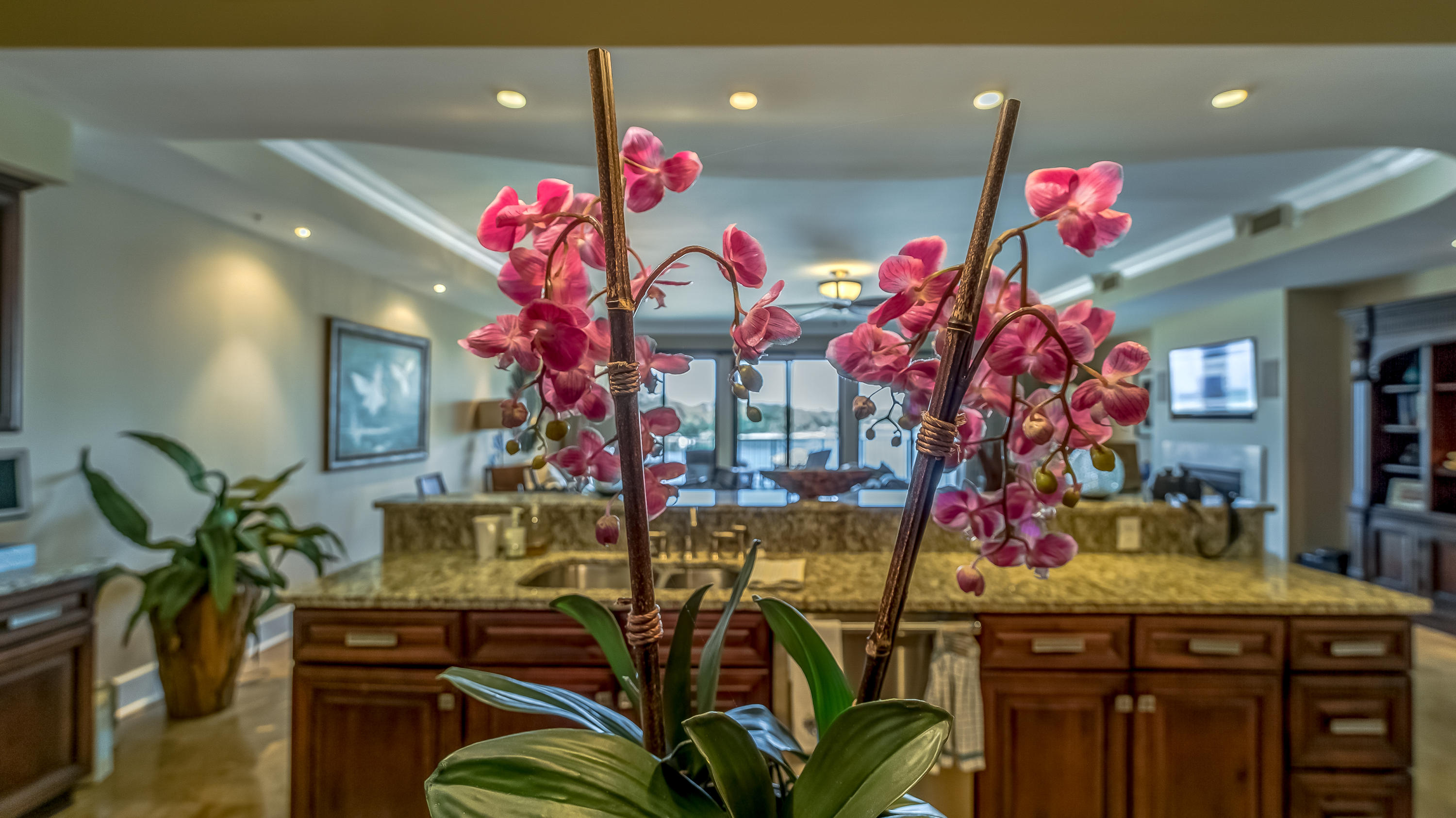 SANCTUARY BY THE SEA CONDO - Residential
