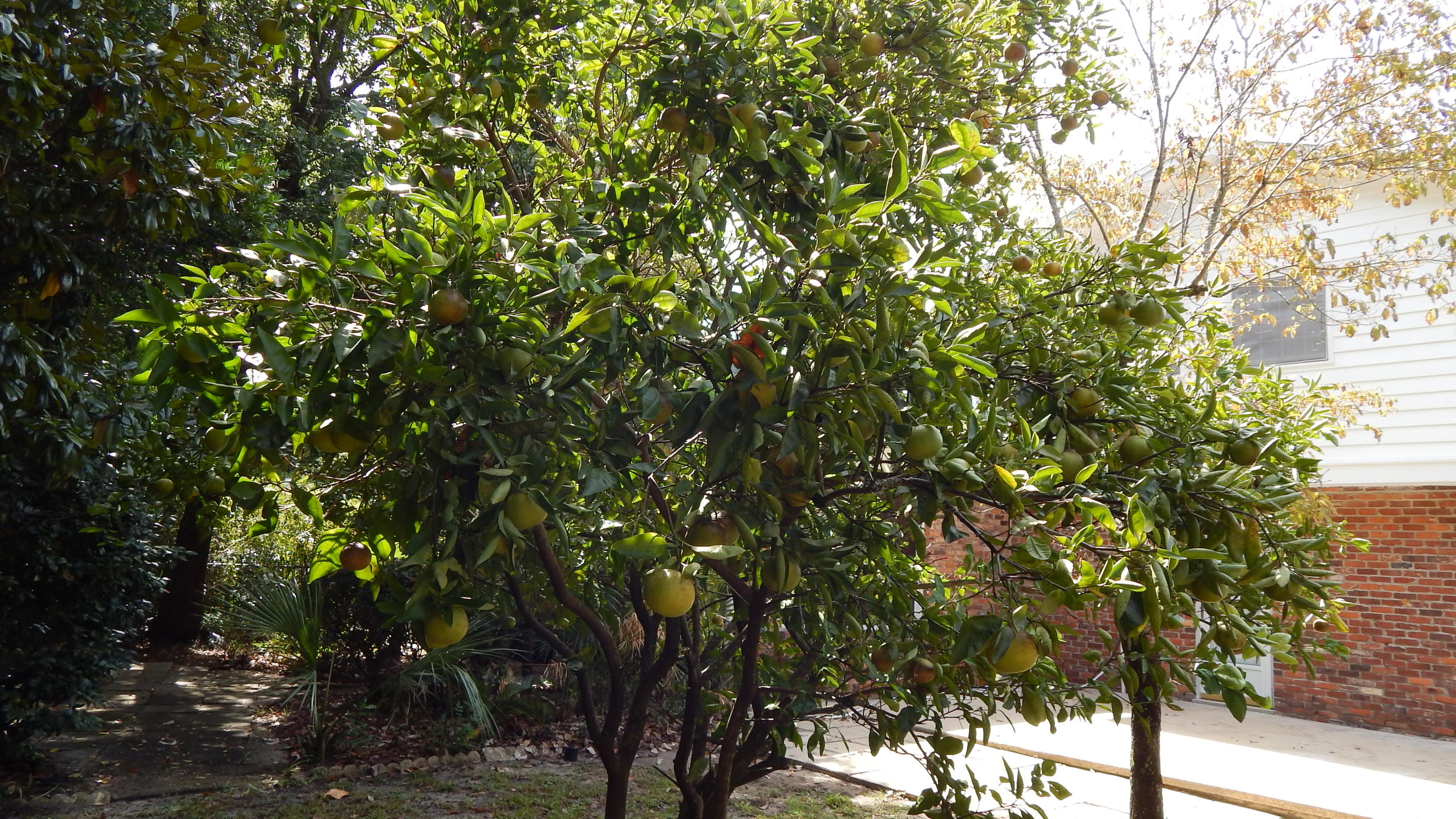 COLONIAL HEIGHTS - Residential