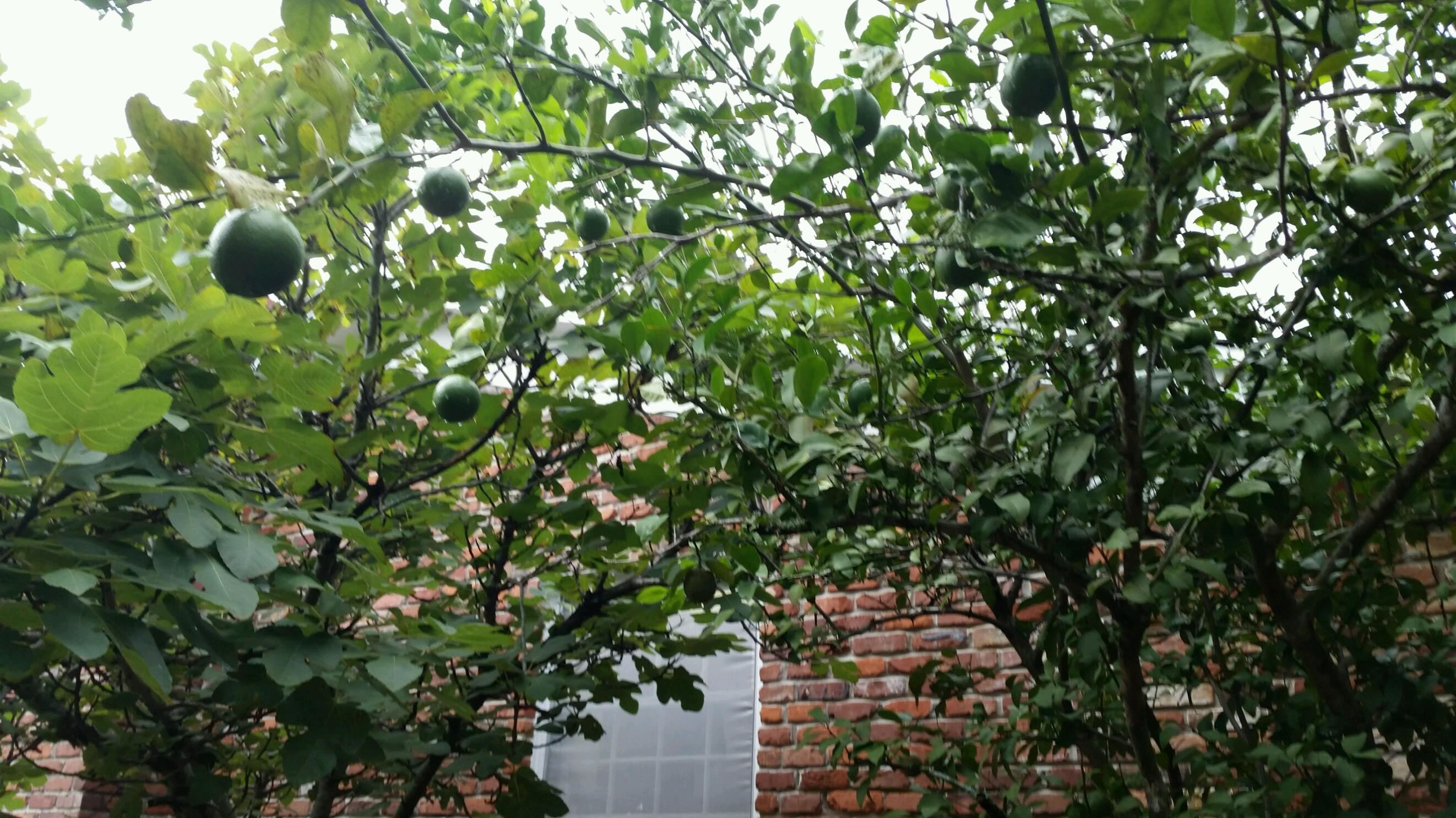 COLONIAL HEIGHTS - Residential