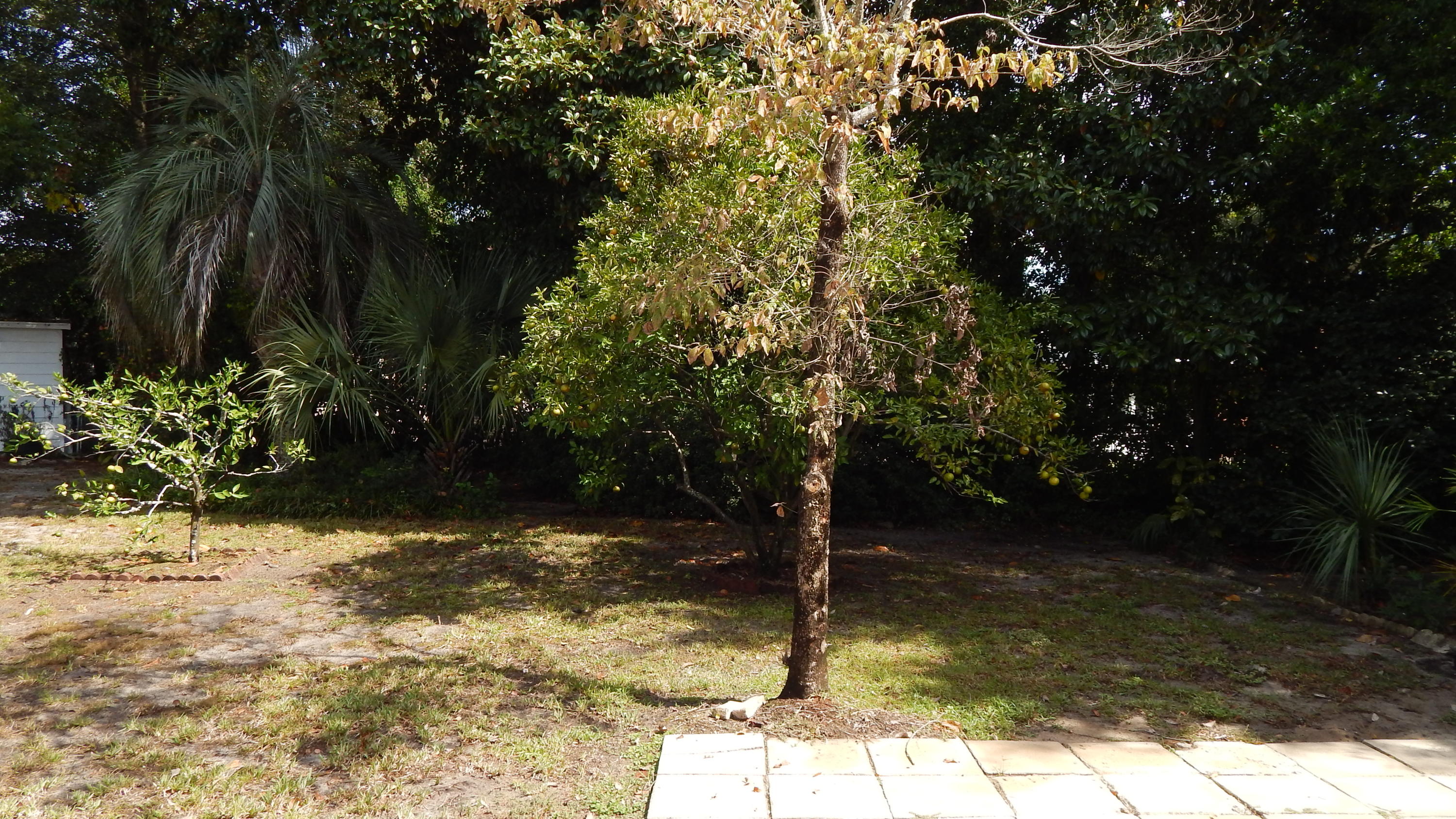 COLONIAL HEIGHTS - Residential