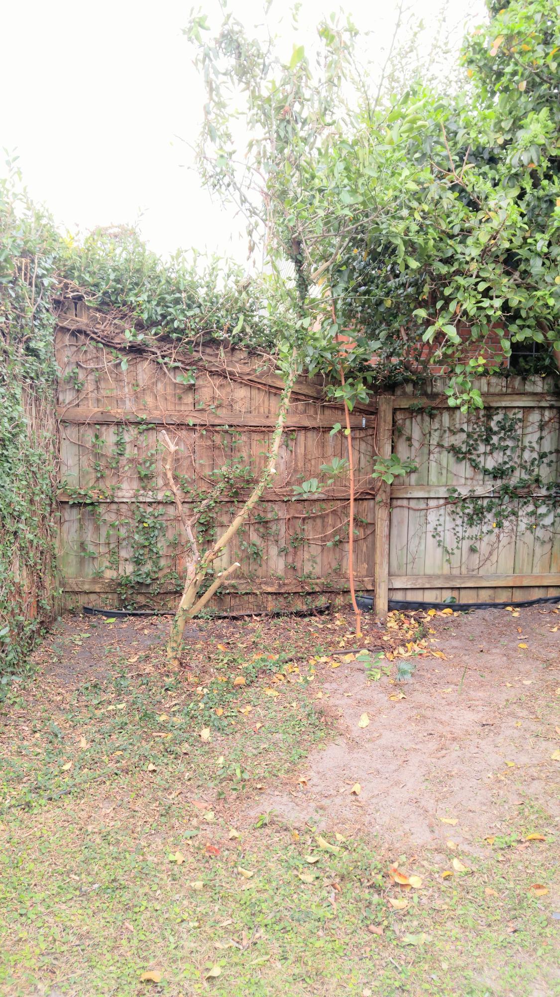 SUNSAIL S/D - Residential