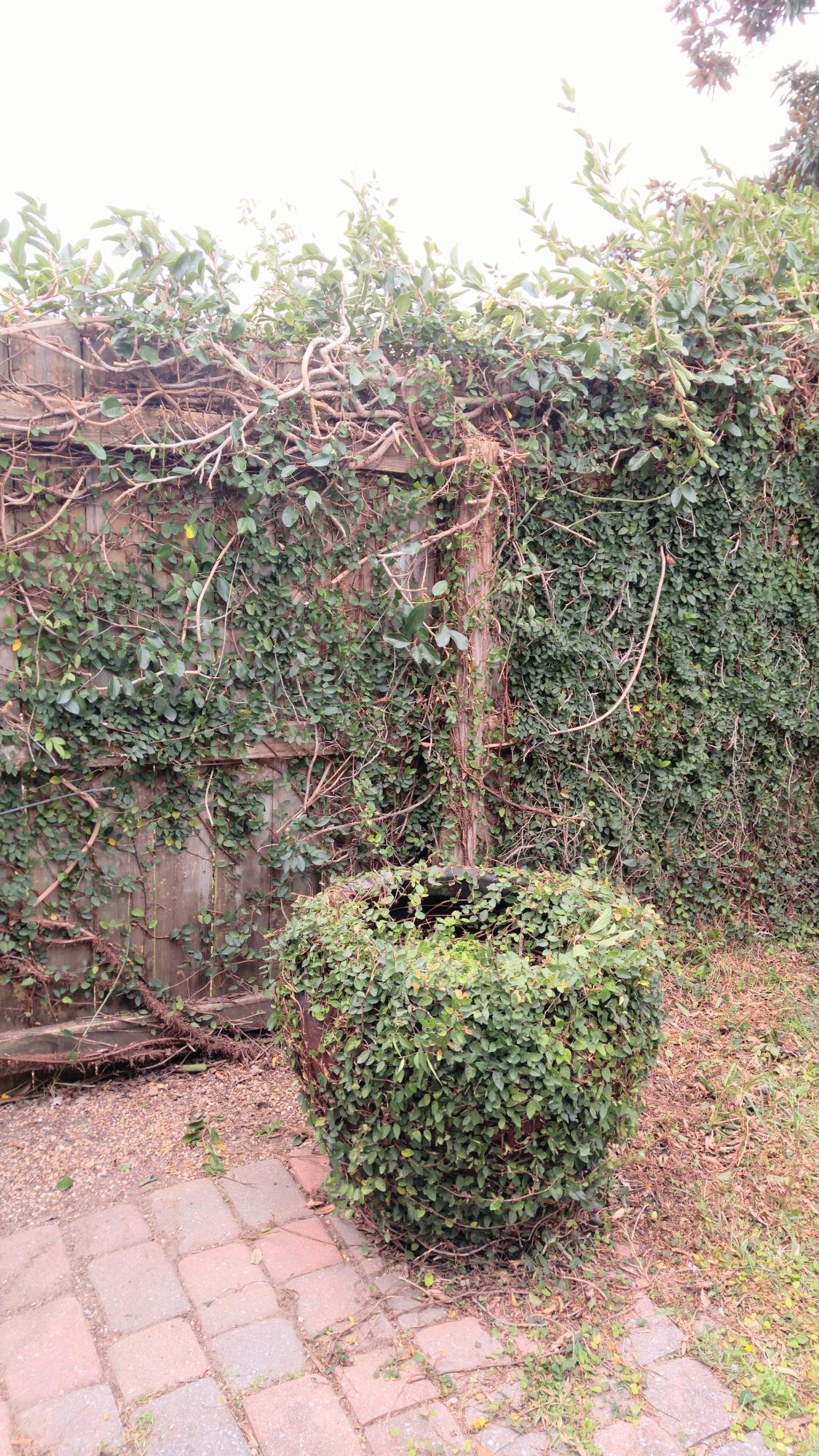 SUNSAIL S/D - Residential