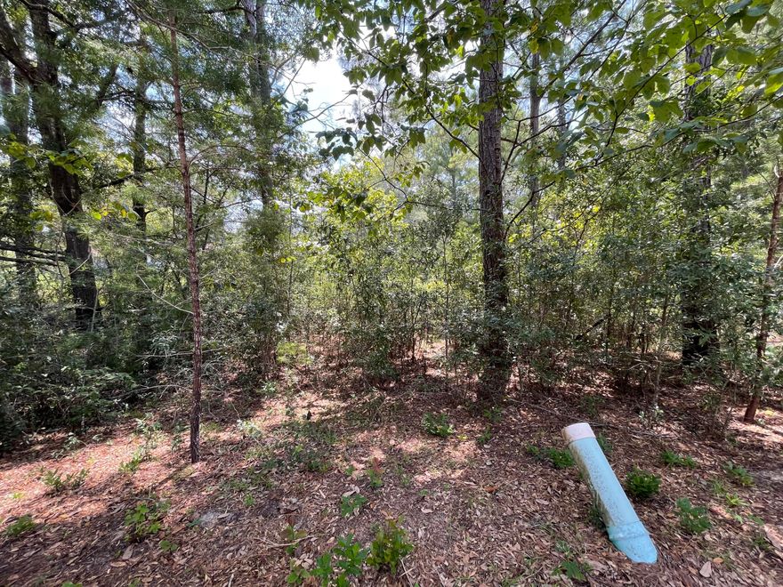 Build your Dream Home here! Best priced build-able lot in town with paid taps. This beautifully wooded ready to build lot with large oaks is located in the heart of Freeport. Great fishing,  on Four Mile Creek, or cruising onto the Choctawhatchee Bay or spending the day on Florida's White Sandy beaches. This amazing property is centrally located between Fort Walton Beach and Panama City Beach offering so much in the way of fun in the sun, tourism activities and Destin's World-Famous Crab Island all within a short 30-45 min drive. This serene community only allows for single family homes and has minimal restrictions & low HOA fees. Min 1,000 sqft requirement.Flood Zone X and Walton Co GIS shows No Wetlands.  All tap fees are paid for city water & sewer, making this lot much more desirable and valuable.

Information contained within this listing such as square footage, property measurements, etc are deemed to be accurate, but is not guaranteed. Buyer to verify.