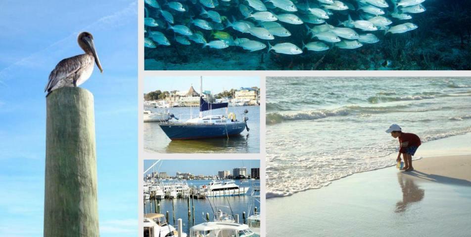 FOREST LAKES - Residential