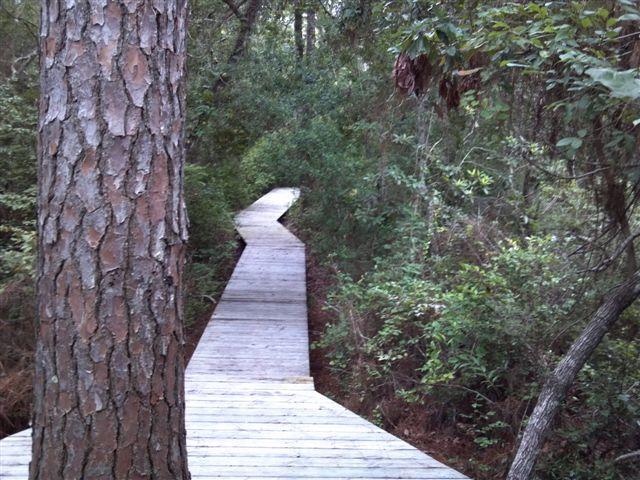 THE HAMMOCKS OF SEAGROVE - Land
