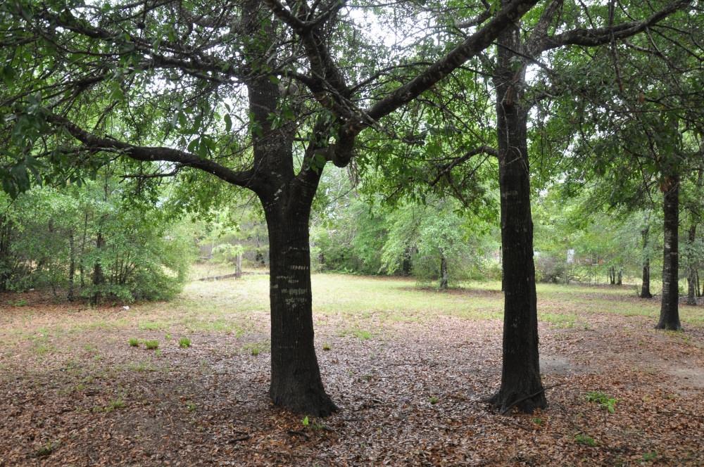 TIMBER WIND ESTATES - Residential