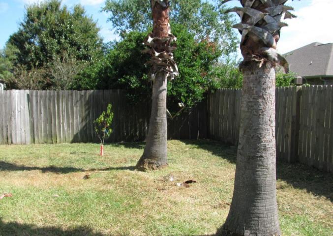 PARKER'S LANDING - Residential