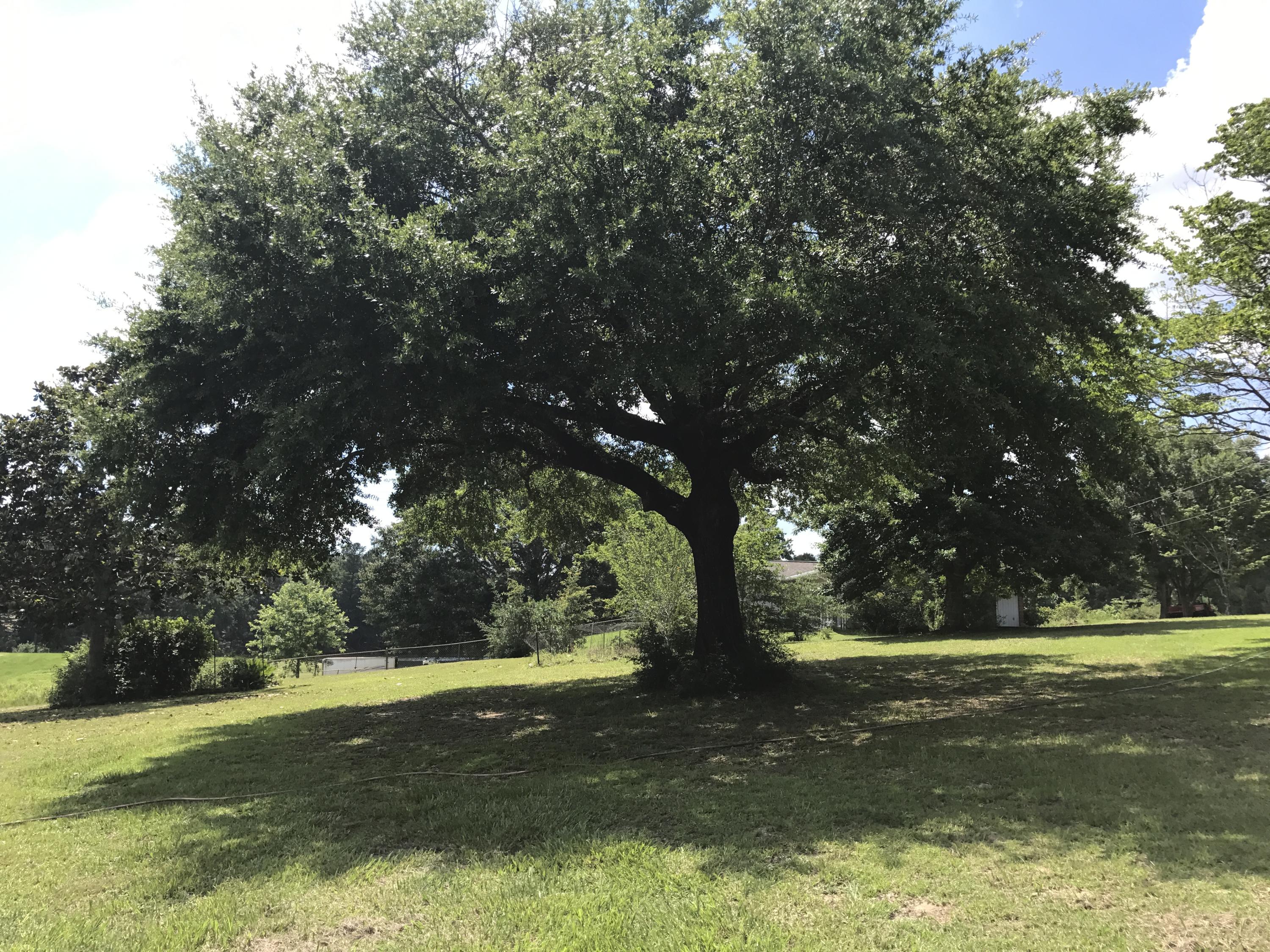 GRANDVIEW HEIGHTS - Residential