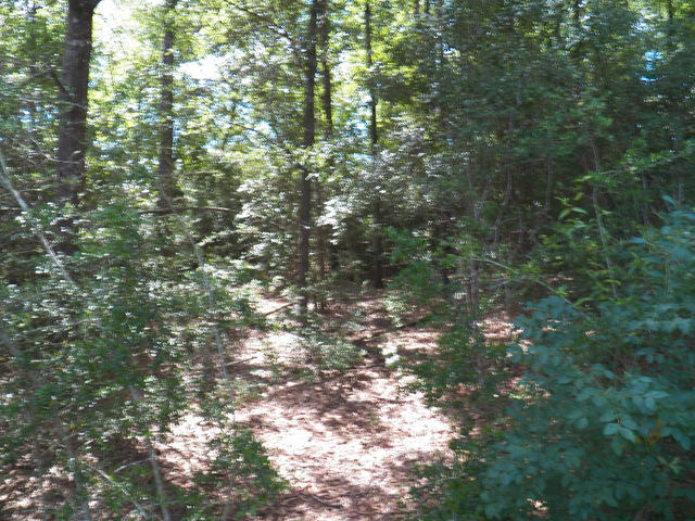 Crestview Country club - Land