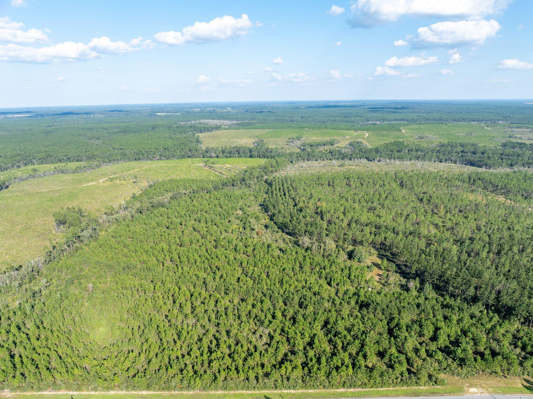 Discover an incredible opportunity to own 60+/- acres in the picturesque Defuniak Springs area. This offering consists of three adjacent parcels, each spanning 20.92 acres, available for purchase individually or as a complete package. Currently zoned 'general agriculture,' the land provides a range of potential uses, with the option to apply for rezoning if desired. The property boasts direct access to Long Road, with electricity readily available along the frontage. Prospective buyers should plan for septic systems and a well for water needs. The parcels are largely untouched, featuring a small stream on the eastern edge of the central parcel and minimal wetlands, estimated at 1.6 acres or less. This pristine property is ready for your vision. Don't miss the chance to explore this unique opportunity.