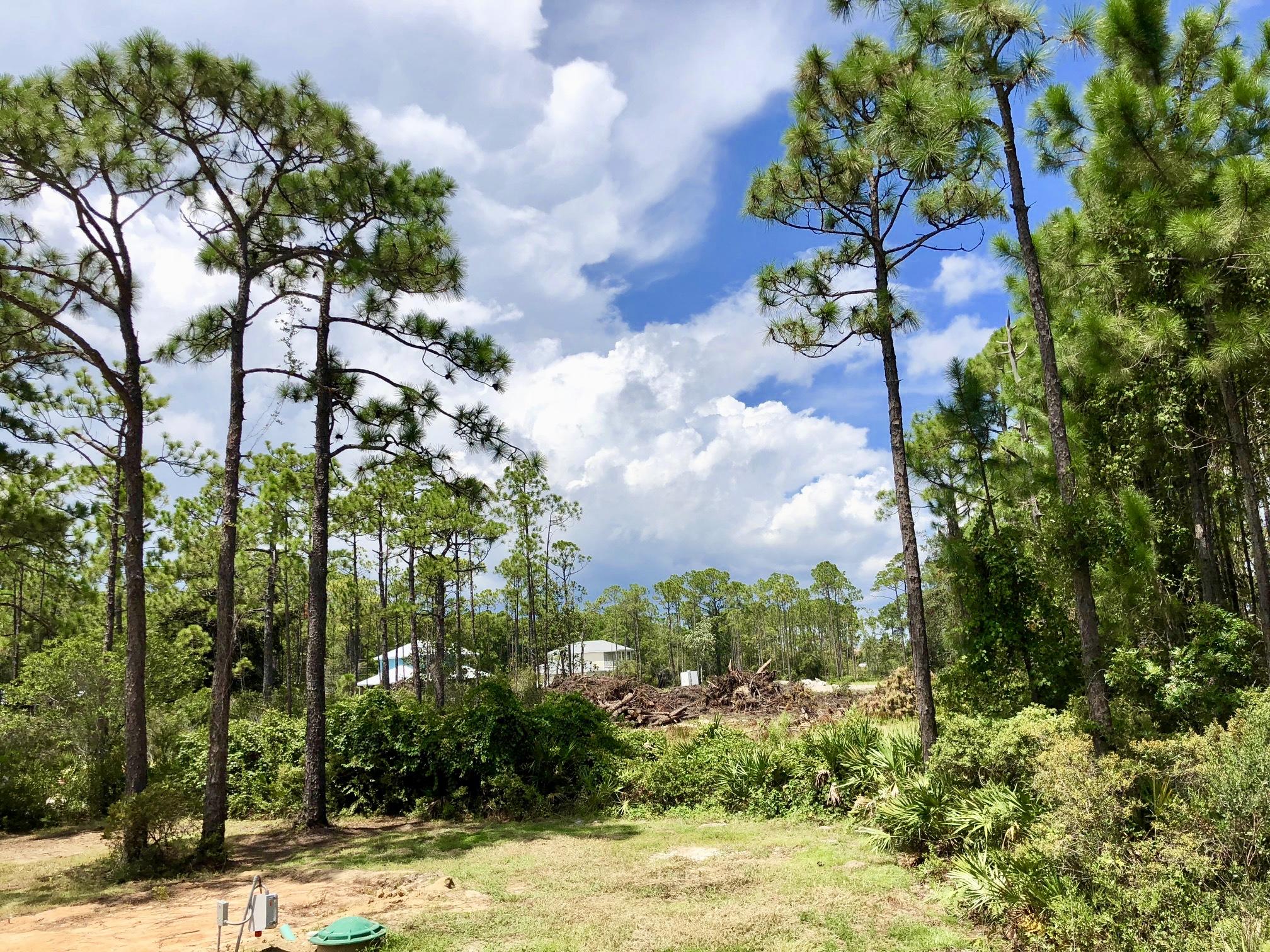 SHELTER COVE ESTATES - Land