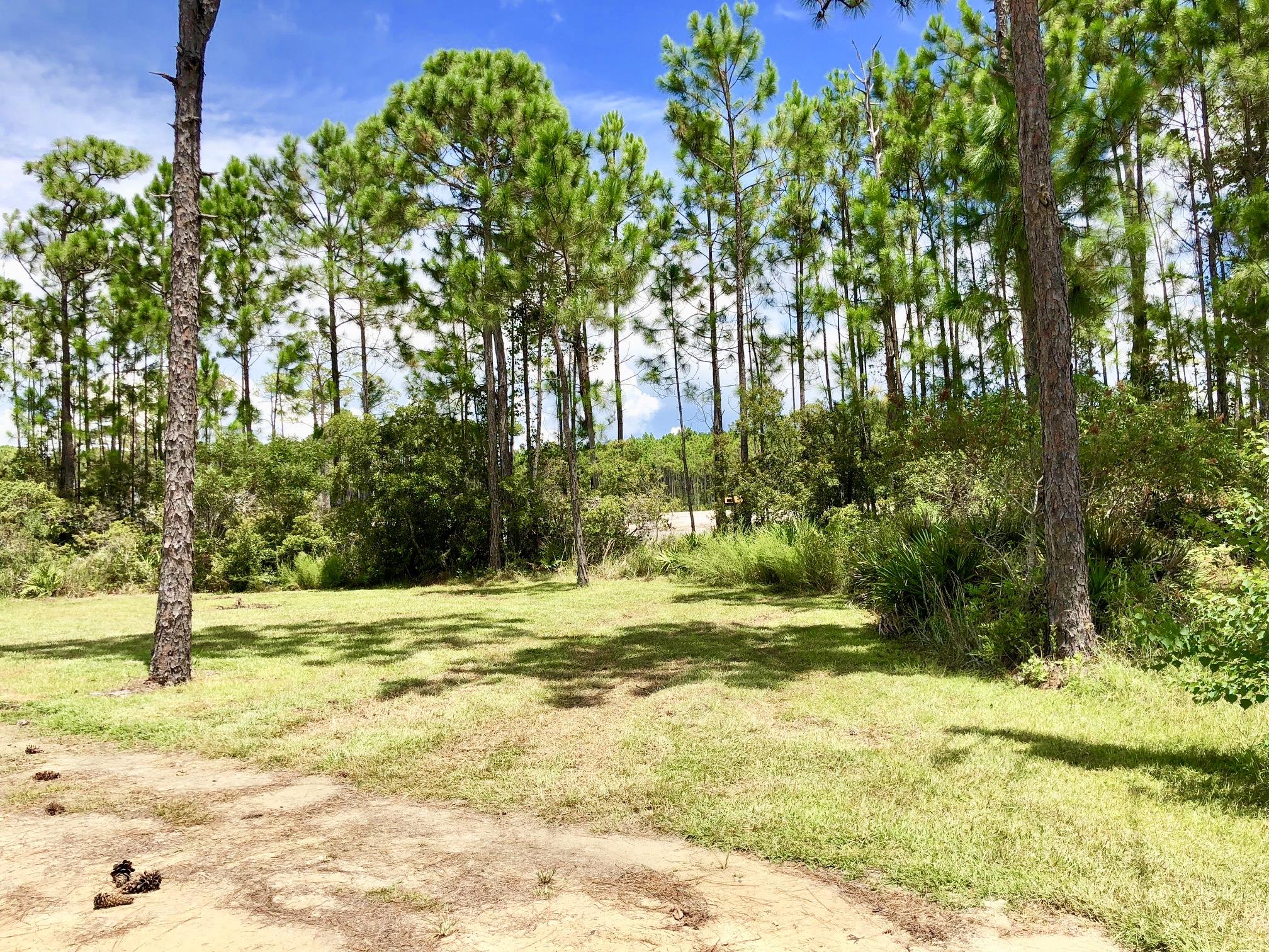 SHELTER COVE ESTATES - Land