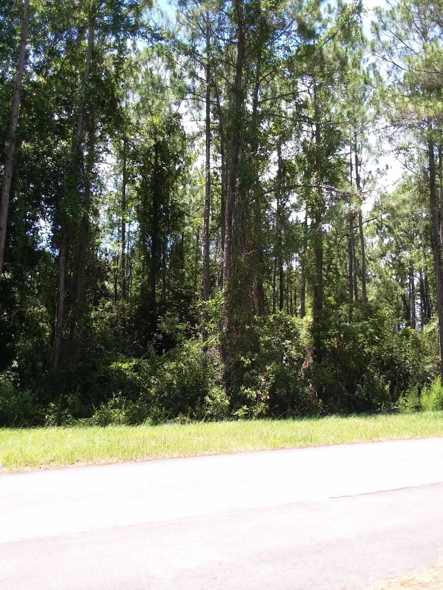 GULF HILLS ESTATES UNREC - Land