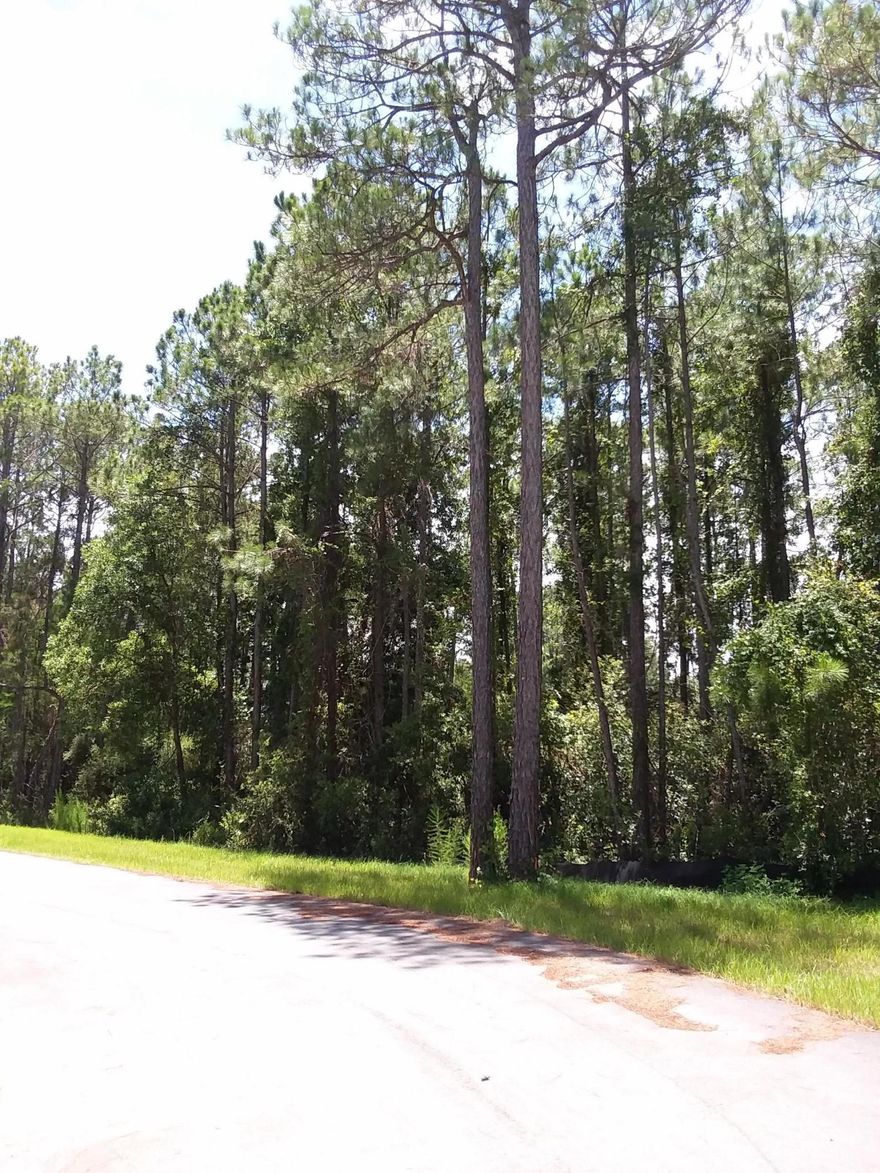 Corner lot just North of 30-A in Gulf Hills Estates. Close to Blue Mountain Beach and area Restaurants. This .27 of an acre backs up to a small Lake at the back corner. There is New Construction in this neighborhood with newly paved roads. Dream Location, no HOA Dues!!!