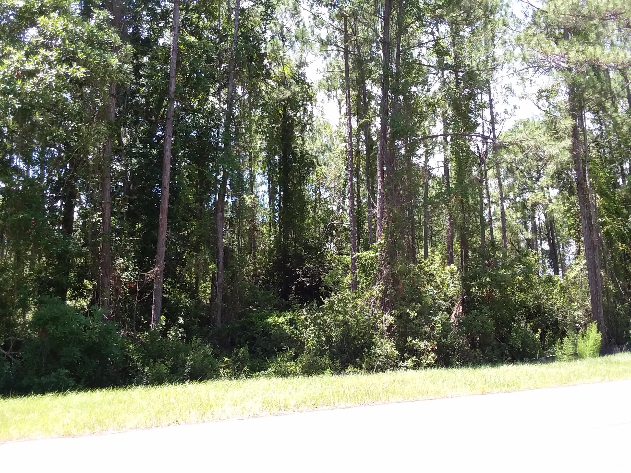 GULF HILLS ESTATES UNREC - Land