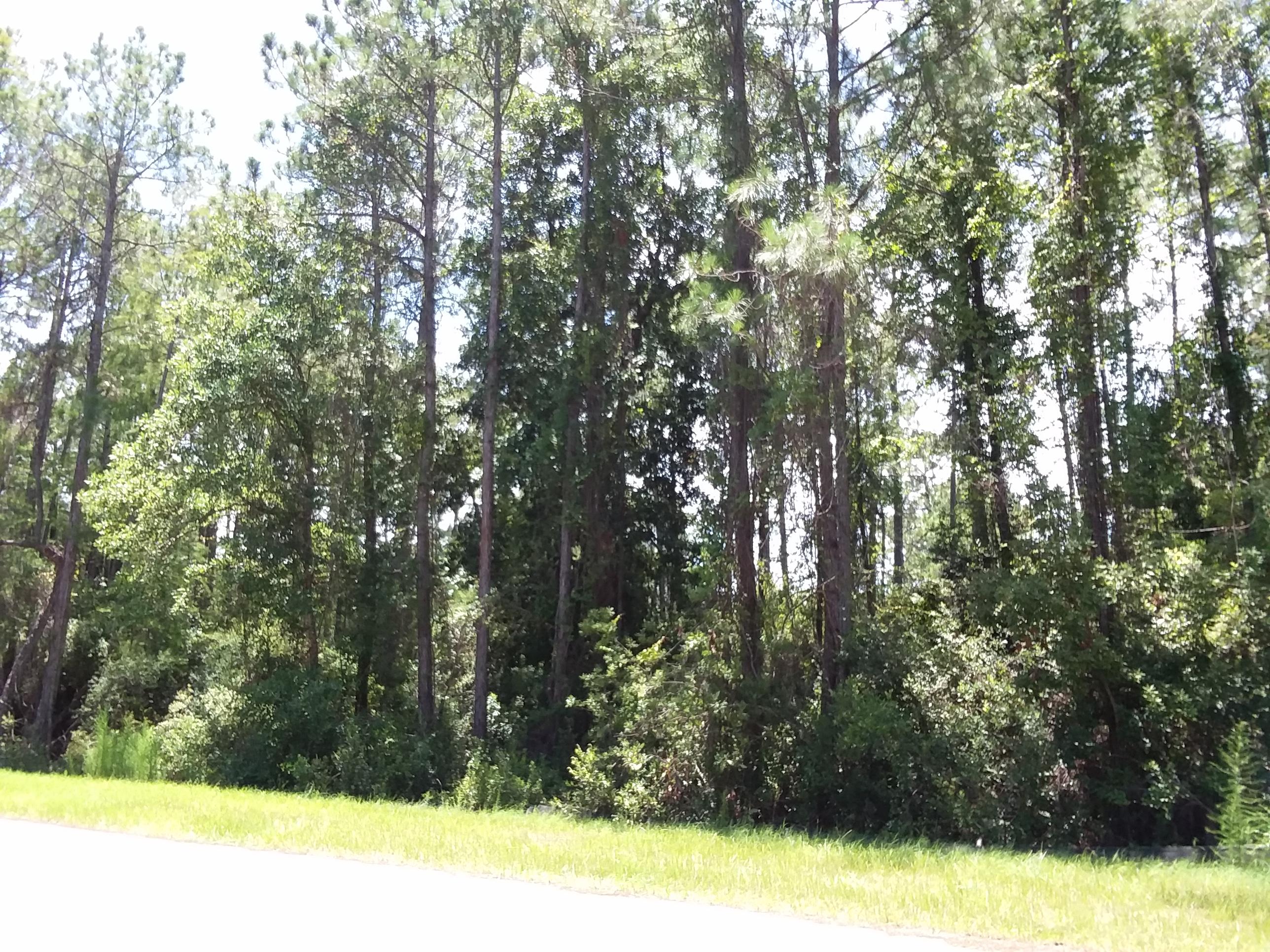 GULF HILLS ESTATES UNREC - Land