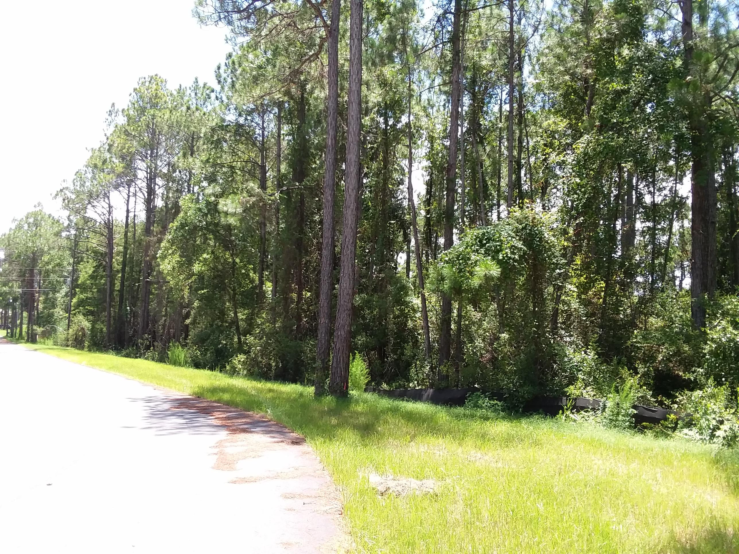 GULF HILLS ESTATES UNREC - Land