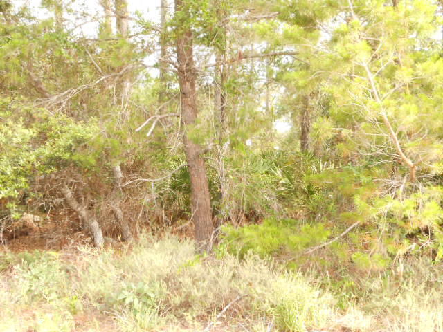 ELIZABETH FARMS 2ND ADDN UNREC - Land