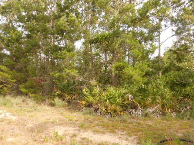 ELIZABETH FARMS 2ND ADDN UNREC - Land