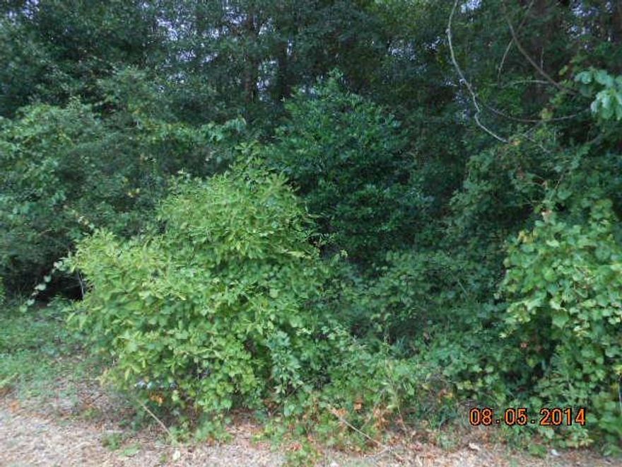 A LOVELY PIECE OF FLORIDA READY TO BE CLEARED AND MADE INTO A HOME. TWO LOTS FOR SALE AS ONE PARCEL JUST RIGHT FOR A DOUBLE WIDE TRAILER OR A BRICK N MORTAR HOUSE. THE STREETS ARE PAVED FOR EASY ACCESS. THIS IS A PEACEFUL ENVIRONMENT AND CALM NEIGHBORHOOD. DRIVE-BY AND TAKE A LOOK.
