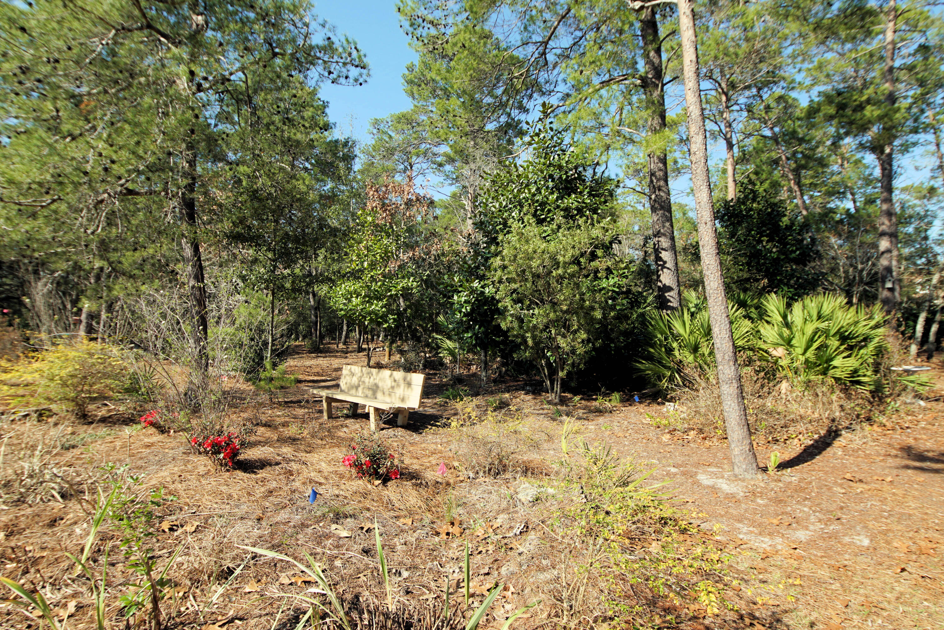 BRISTOL VILLAGE RAINTREE ESTATES - Residential