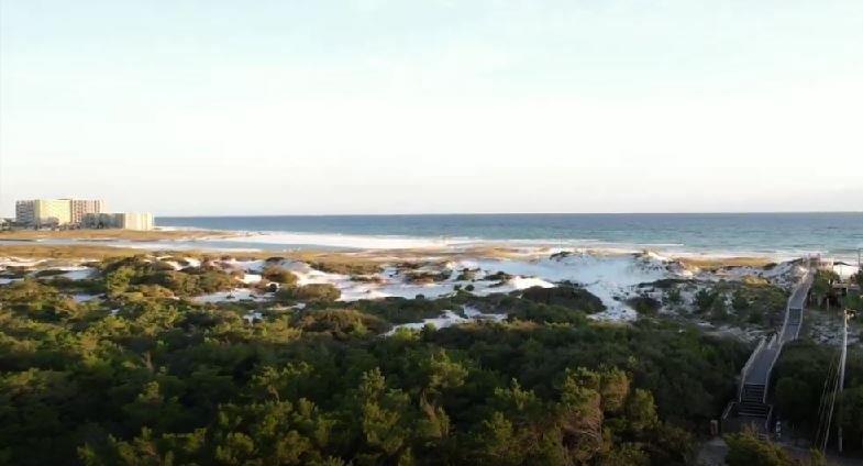 INLET BEACH - Land