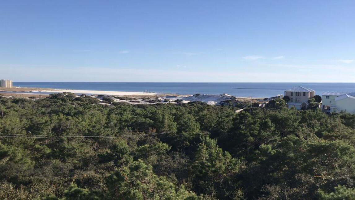 INLET BEACH - Land