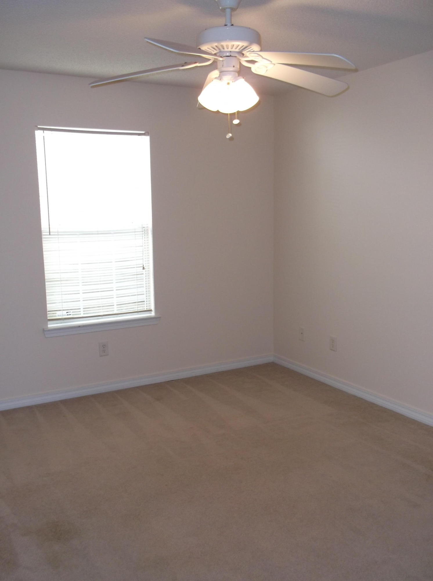 SHANYN TAYLOR OAKS - Residential