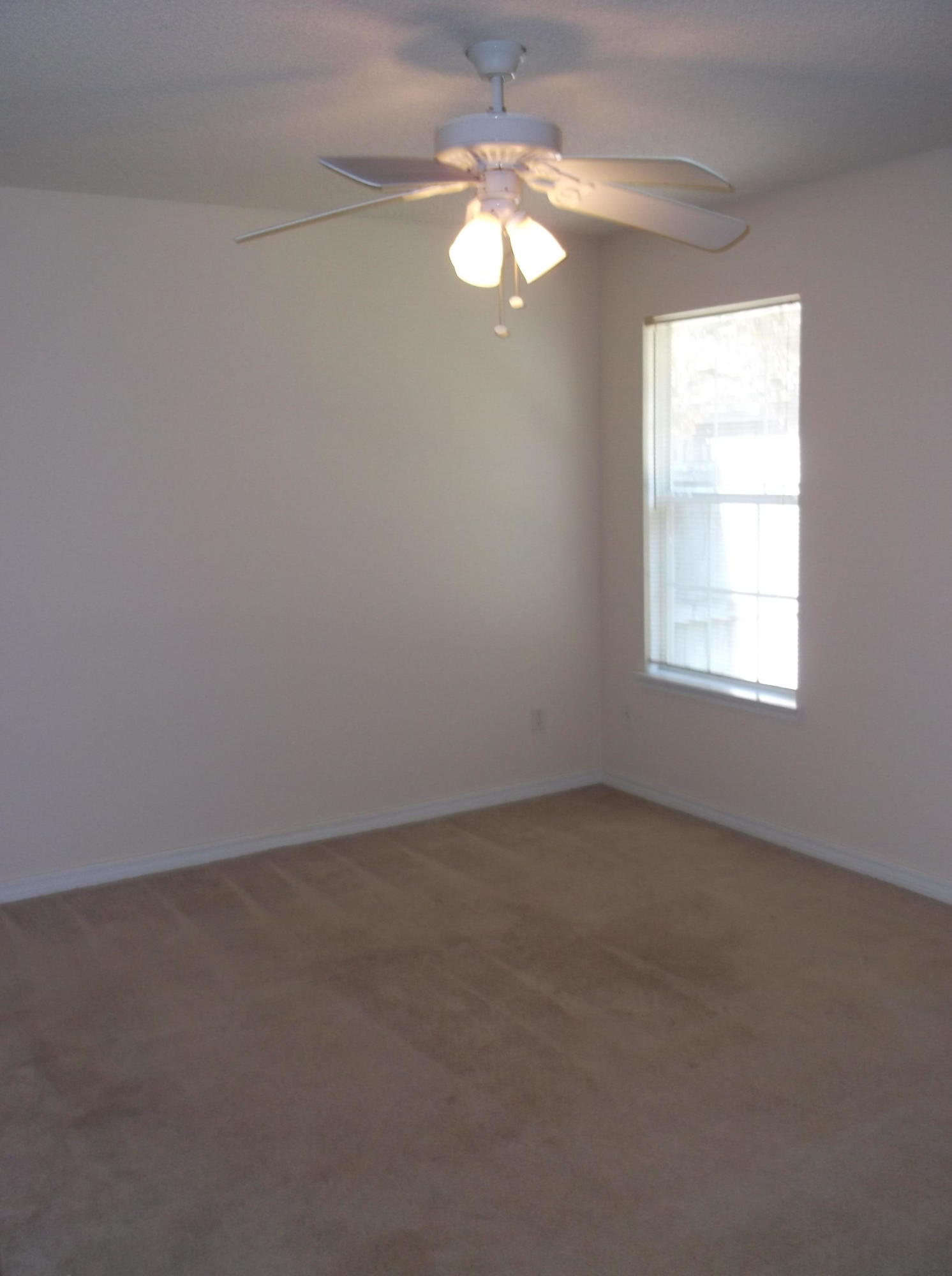 SHANYN TAYLOR OAKS - Residential