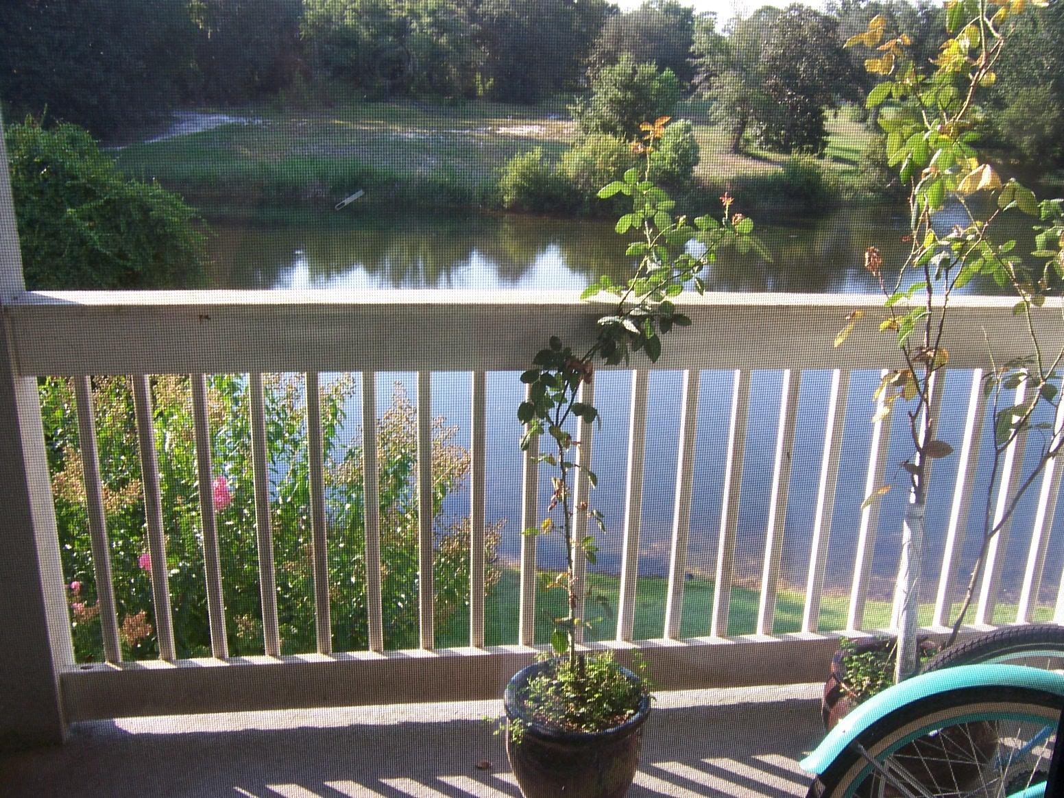 LAKESIDE CONDO AT BLUEWATER BAY - Residential Lease