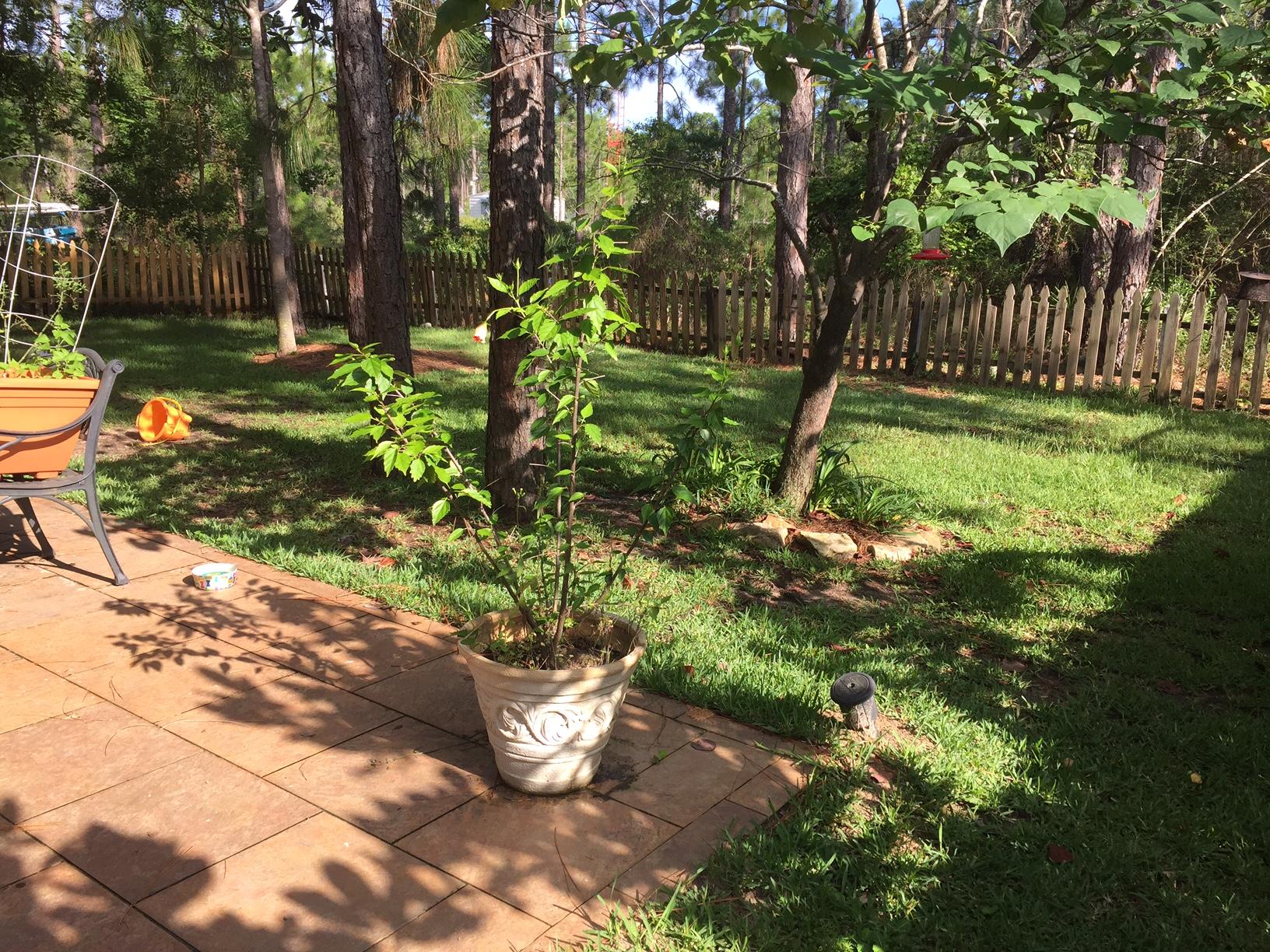 MACK BAYOU ESTATES - Residential