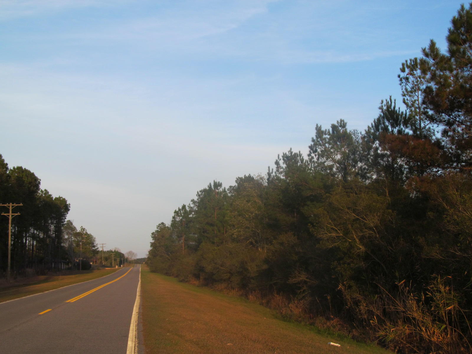Over 1400 feet of paved road frontage. Wooded. Quiet and peaceful location in North Walton County. Great place to build your home in the country.Seller financing with 10% down @ 5 % interest terms negotiable