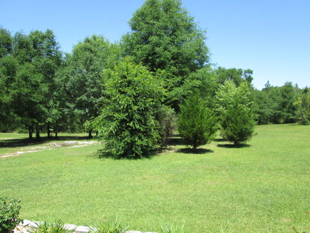 metes and bounds - Residential