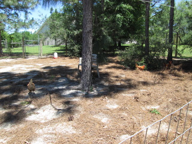 metes and bounds - Residential