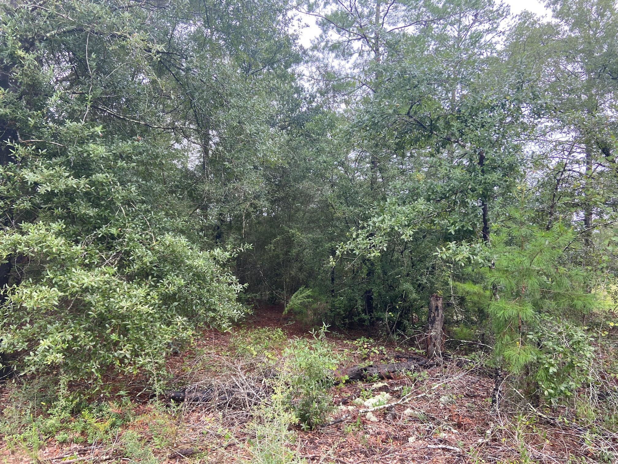 OAKWOOD HILLS UNIT 1 - Land