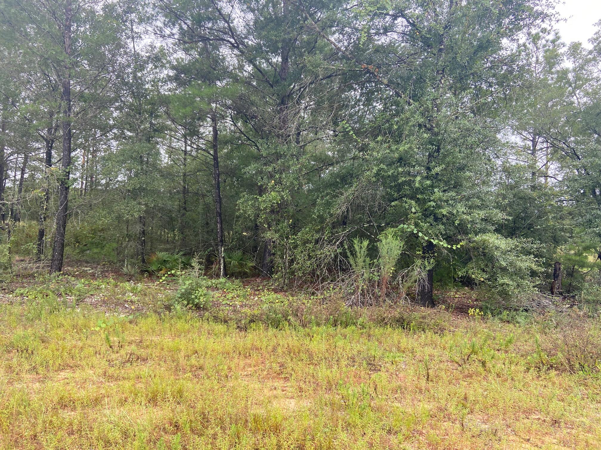 OAKWOOD HILLS UNIT 1 - Land