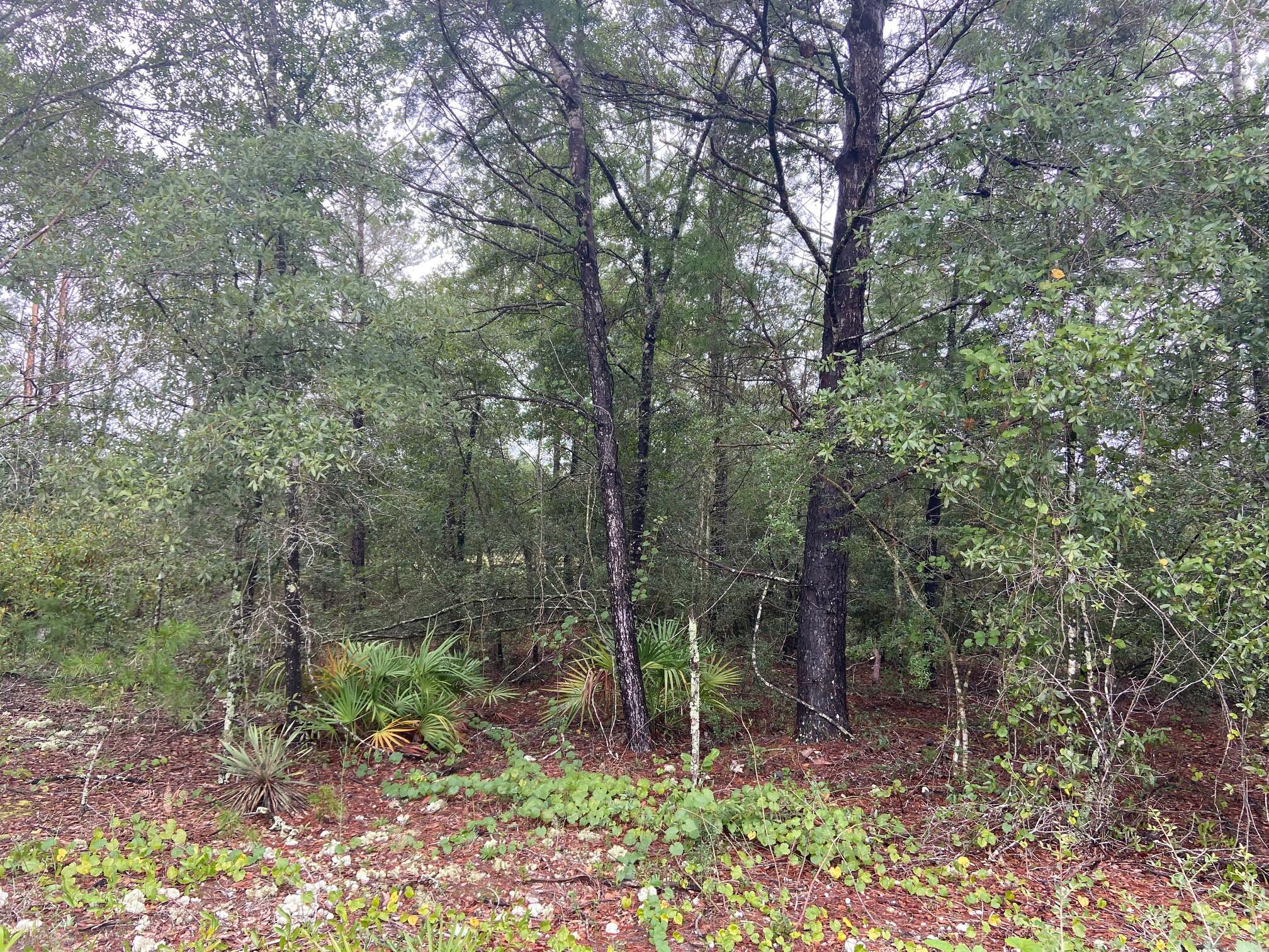 OAKWOOD HILLS UNIT 1 - Land