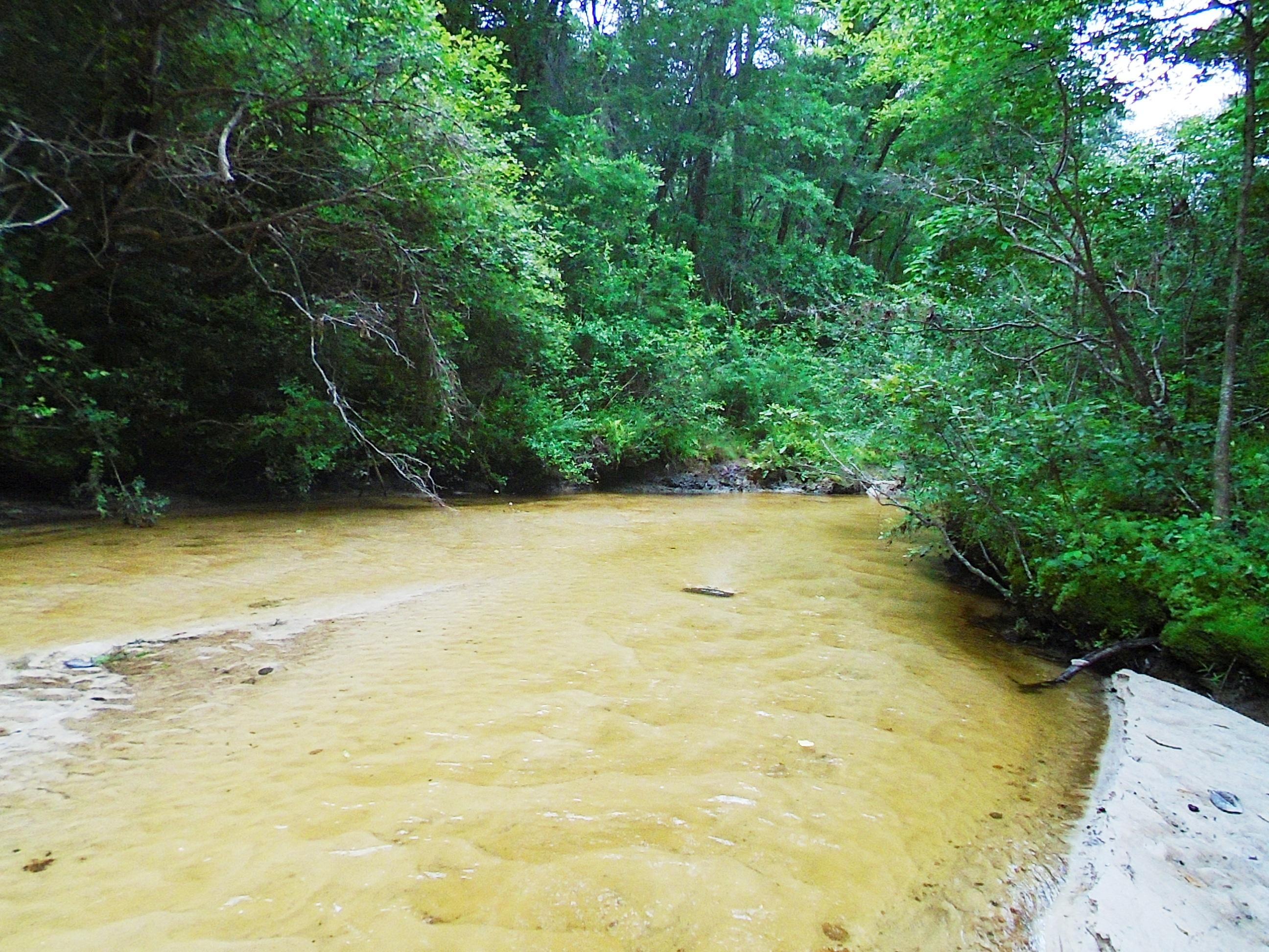 A Rare Find - Beautiful 20 acre tract located on the shore of Turkey Creek. White sand creek bottom and shoreline. Seller has cleared the underbrush on the front portion of the property. Easy viewing. The balance of the land across the creek is still wooded. Can't find a better spot to enjoy nature. Nice homes on the adjoining properties. Electricity and Mossy Head water are to the adjoining property. Land is 2 parcels and will be sold together.