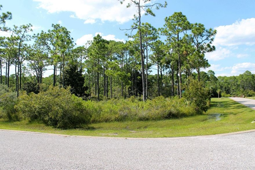 Looking for the perfect lot close to the Bay to build your dream home? Lot 47 Pelican Bay Drive is the BEST PRICED LOT within Pelican Bay, a gated Bayside community in the popular Mack Bayou area of Santa Rosa Beach. This lot is in a great location of Pelican Bay backing up to the neighborhood tennis courts and just a quick walk to the Bay front park. This desirable corner lot is a good size, 0.34 Acres and approx. 85 x 175 ft. with plenty of depth for added privacy. Enjoy the neighborhood's deeded Bay access, relax at the Bay front park, and even fish off the dock. This private neighborhood is conveniently located near the Sacred Heart Hospital, Publix Food & Pharmacy, and Grand Boulevard Town Center - the perfect place for dining, shopping, entertainment, and the brand new movie theatre.